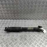 Stoßdämpfer hinten rechts MERCEDES-BENZ M (W166) ML 350 BlueTEC 4-matic (166.024) A1663201130