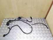 Kabel der vorderen linken Tür NISSAN X-TRAIL (T31) 2.0 dCi 24125JH10B