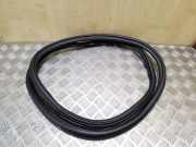 Dichtungsgummi der hinteren Tür (an der Karosserie) AUDI A6 (4G2, C7, 4GC) 2.0 TDI