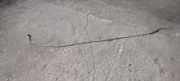 Fahrgestellteile hinten BMW 7 (F01, F02) 730 d