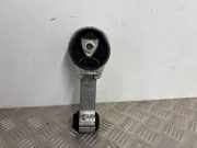 Motorbock vorne Renault Grand Scenic III (JZ) 113560007R