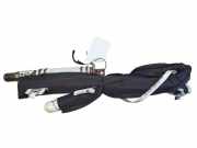 Dach SRS rechts RENAULT MEGANE III Coupe (DZ0/1_) 1.9 dCi (DZ0N, DZ0J, DZ1J, DZ1K) BAMPT1624