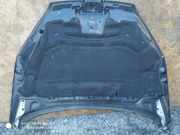 Motorhaube PEUGEOT 407 Coupe (6C_) 2.7 HDi
