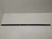 Vertikale Verkleidung an der vorderen linken Tür NISSAN MURANO I (Z50) 3.5 4x4