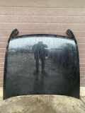 Motorhaube VW PHAETON (3D_) 5.0 V10 TDI 4motion