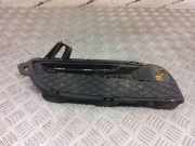 Kühlergrill unten Jaguar XF (X250) CX2313K233A