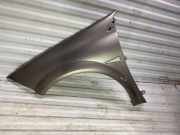 Kotflügel vorne links RENAULT MEGANE II Sedan (LM0/1_) 1.4 8200495402