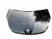Motorhaube PEUGEOT 208 1.4 HDi 3013243