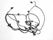 Kabelbaum Audi A7 Sportback (4G) 4G8971085AE