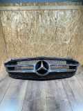 Vorderer oberer Gitter MERCEDES-BENZ C (W205) C 220 BlueTEC / d (205.004) a0008880060