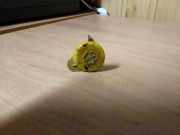 Wischwassertankhals OPEL ASTRA J Sports Tourer 2.0 CDTI 90589503