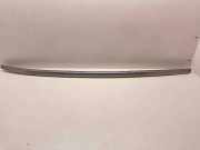 Dachreling rechts LEXUS NX II (_A2_, _H2_) 350h (AAZH20) 800B0-21043