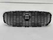Vorderer oberer Gitter JAGUAR XE (X760) 2.0 LX738B271AA