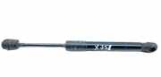 Gasfeder für Motorhaube BMW X5 (G05, F95) 7418188