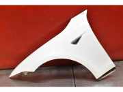 Kotflügel links vorne Tesla Model S (5YJS)