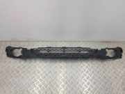 Gitter vorne unten BMW X5 (E70) xDrive 30 d 51117222730