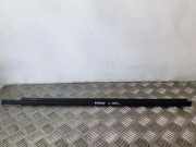 Türverkleidung links hinten Ford Focus Turnier (DNW)