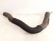 Schlauch Kühlung PEUGEOT 607 (9D, 9U) 2.7 HDi 24V