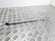 Einspritzleiste VW Golf VII (5G) 04E133320D