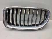 Vorderer oberer Gitter BMW 5 (F10) 535 d 51137340319