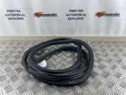 Türdichtung VW Passat B7 Alltrack (36, B7) 3G5867914