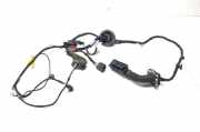 Kabel Tür Audi A5 Sportback (8TA) 24092010