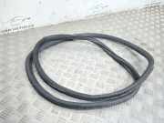 Türdichtung VW Passat B5.5 (3B3) 3C5667915