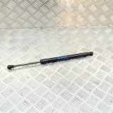 Heckklappe Gasdruckfeder links BMW 2 Cabrio (F23) 218 i 7304556