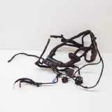 Türverkabelung hinten links BMW 6 Gran Turismo (G32) 630 i 8795426 4393317