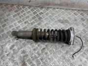 Stoßdämpfer rechts hinten Maserati Quattroporte V () 46240012651