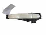 Türaußengriff links FORD C-MAX II (DXA/CB7, DXA/CEU) 2.0 TDCi R224A36