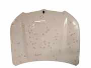 Motorhaube BMW X1 (F48) xDrive 25 d