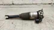 Stoßdämpfer hinten links BENTLEY FLYING SPUR (3W_) 6.0 4W0616002