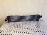Ladeluftkühler FORD MONDEO IV Turnier (BA7) 1.6 Ti 6G919L440FE