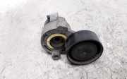 Riemenspanner NISSAN QASHQAI / QASHQAI +2 I (J10, JJ10) 1.5 dCi 117503662R
