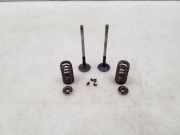 Auslassventil BMW 5er (F10)