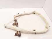 Airbag Dach links Fiat Bravo II (198) 8R080740301