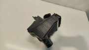 Luftfilterkasten RENAULT GRAND SCÉNIC II (JM0/1_) 1.5 dCi (JP0G, JP0H) 28085458 8200369798