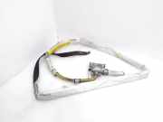 SRS Modul Dach links BMW X5 (E53) 3.0 d 1665489