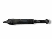 Stoßdämpfer hinten links JAGUAR E-PACE (X540) 2.0 D AWD 06081168