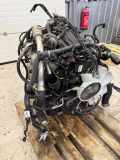 Motor NISSAN NP300 NAVARA Pick-up (D23) 2.3 dCi 4x4 (D231) M9TE2E2