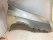 Kotflügel vorne rechts RENAULT VEL SATIS (BJ0_) 3.0 dCi (BJ0J, BJ0N)