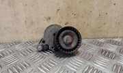 Zahnriemenspanner NISSAN X-TRAIL (T31) 2.0 dCi 8200357406