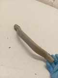 Dachgriff vorne links VW MULTIVAN V (7HM, 7HN, 7HF, 7EF, 7EM, 7EN) 2.5 TDI 701857607A