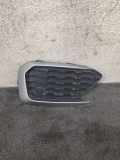 Gitter vorne unten BMW 1 (F21) M 140 i 8060297