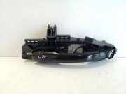 Türaußengriff hinten links