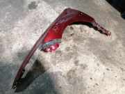 Kotflügel vorne links