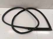 Türgummi links vorne BMW 2er Coupe (F22, F87)