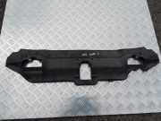 Vorderer oberer Gitter PEUGEOT 406 Coupe (8C) 2.0 16V ZUO9572000