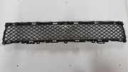 Gitter vorne unten JAGUAR XF (X250) 3.0 D 8X2317K945